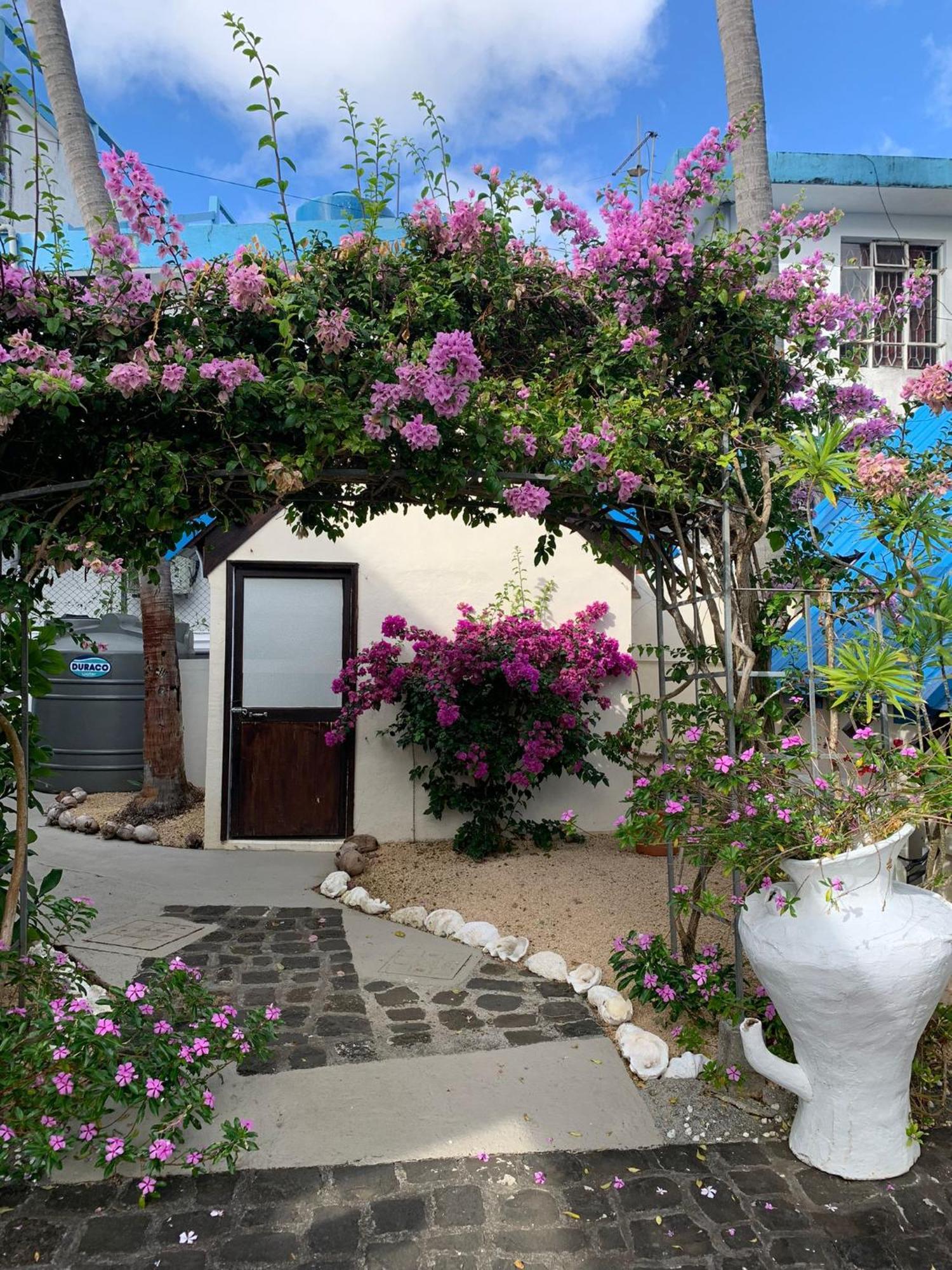 Chillpill Guest House 马埃堡 外观 照片